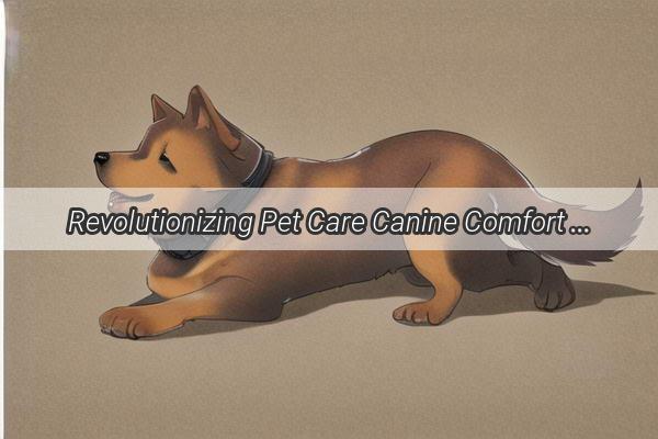 Revolutionizing Pet Care Canine Comfort with Human Milk Oligosaccharide